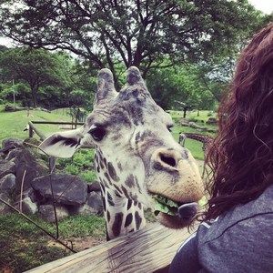 Meet your Posher, Malorie